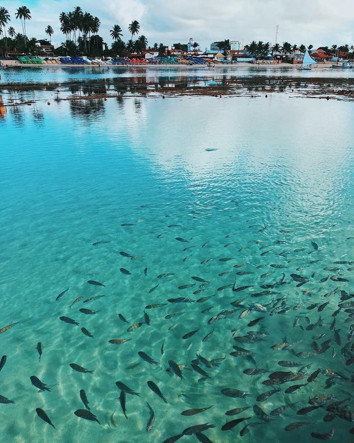 Laguna Beach Flat Pôrto das Galinhas Dış mekan fotoğraf